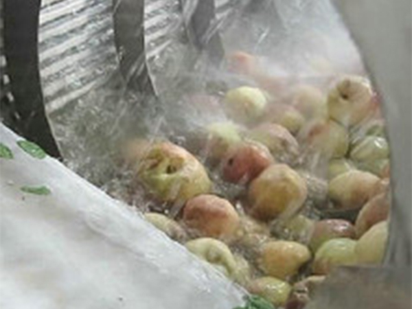 高壓氣泡清洗機(jī)(玉米類、果蔬類）